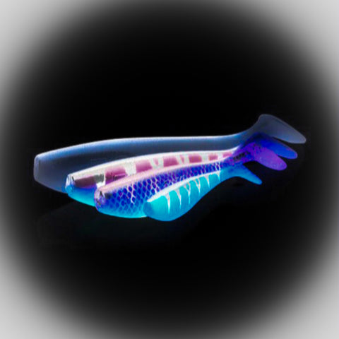 ZANDER PRO 10cm