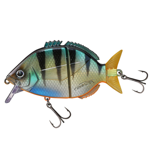 FISHUS Esparrall 10cm Real Perch