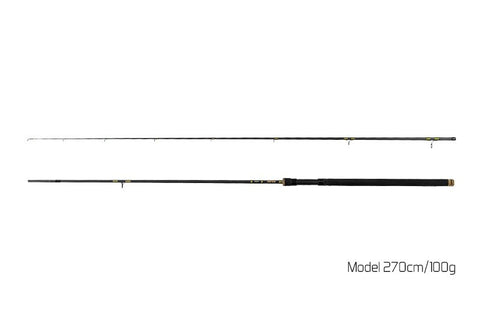 DELPHIN Murena 2.70m 100G Spinnrute