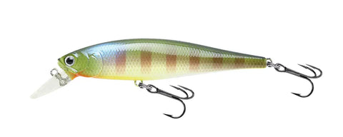 LUCKY CRAFT Pointer 100 SP BE Gill