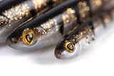 FOX RAGE Slick Shad 9cm Glitter Perch