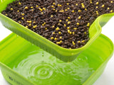 DELPHIN REAXE BST 1.8L