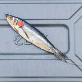 ZECK DB Twin Treble Rig #6