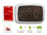 DELPHIN REAXE Pellet Box Ready & Go Lachs-Krebs 400g