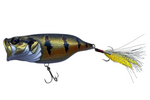ADUSTA Neo Rean Popper Peacock