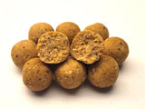 MTC BAITS Boilie 24mm 1kg (Shelf Life) NutCase