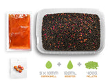 DELPHIN REAXE Pellet Box Ready & Go Mango-Pfirsich 400g