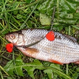 ZECK DB Single Hook #2/0 & Treble #2 Rig