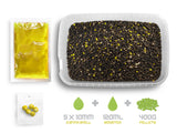 DELPHIN REAXE Pellet Box Ready & Go Mais-Ananas 400g