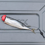 ZECK DB Twin Treble Rig #6