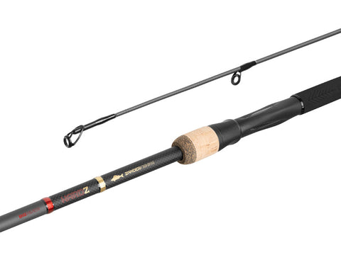 DELPHIN Hardz 2.70m 60G 2tlg.