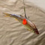 ZECK DB Treble Rig #2