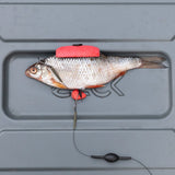 ZECK DB Single Hook #2/0 & Treble #2 Rig